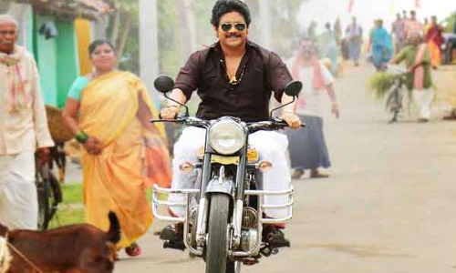 బంగార్రాజు విడుదల అప్పుడేనట