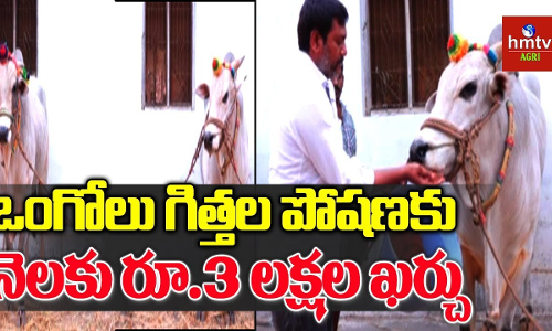 Seshadri Chowdary Seshadri Chowdary