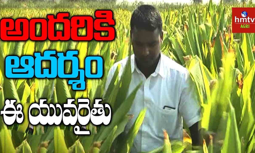 Chinna Reddy Chinna Reddy