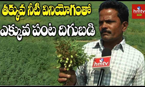 కరవు సీమలో లాభసాటి వ్యవసాయం కరవు సీమలో లాభసాటి వ్యవసాయం