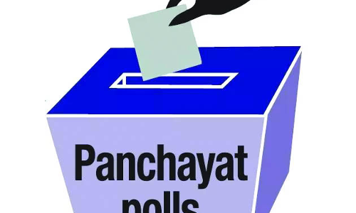 పంచాయతీలపై పట్టు కోసం వాడిన పాచికలేంటి?