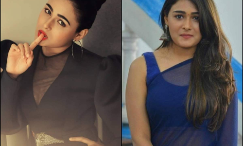 బాలీవుడ్ లో అడుగు పెట్టనున్న అర్జున్ రెడ్డి పిల్ల