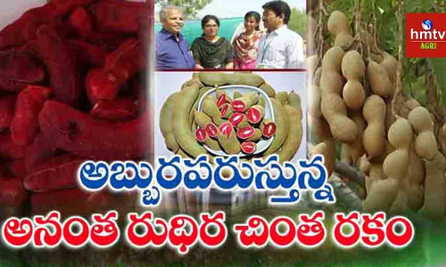 రుచిలో పుల్లదనం..చూపులకు ఎర్రదనం