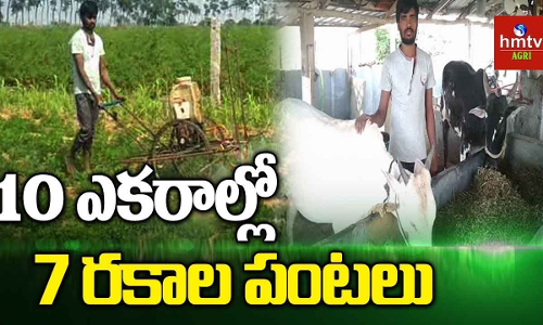 10 ఎకరాల్లో 7 రకాల పంటలు పండిస్తున్నాడు