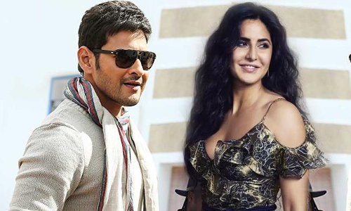 మహేష్‌తో సినిమాపై కత్రినా క్లారిటీ