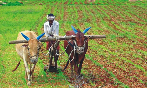 అన్నదాతలపై మోడీ కురిపించింది ఎన్నికల వరాలేనా? అన్నదాతలపై మోడీ కురిపించింది ఎన్నికల వరాలేనా?