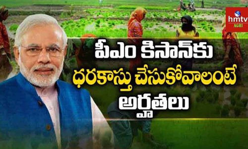 పీఎం  కిసాన్‌కు ధరకాస్తు చేసుకోవాలంటే అర్హతలు