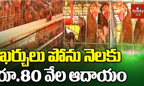 ఖర్చులు పోను నెలకు రూ.80 వేల ఆదాయం