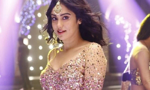 నాని సినిమా గురించి క్లారిటీ ఇచ్చిన అదాశర్మ