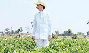 మనసును మథిస్తున్న కేసీఆర్.. కేబినెట్ ఏ నిర్ణయం తీసుకుంటారు? మనసును మథిస్తున్న కేసీఆర్.. కేబినెట్ ఏ నిర్ణయం తీసుకుంటారు?