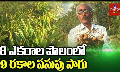 ఆరోగ్యకరమైన సమాజాన్ని నెలకొల్పడమే అతని లక్ష్యం