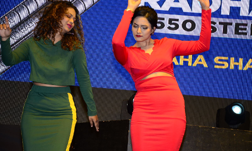 మిఠాయి ఆడియో ఆవిష్కరణ స్టిల్స్