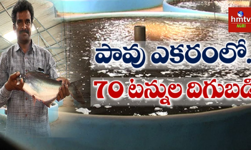 చేపల పెంపకంలో సరికొత్త టెక్నాలజీ