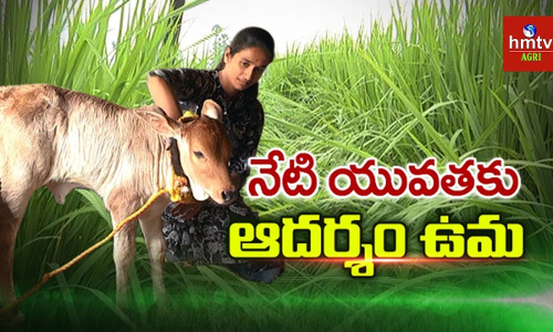 నేటి యువతకు ఈమె ఆదర్శం