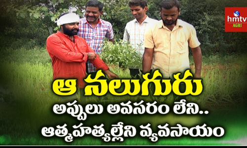 కరువును తట్టుకొనే వ్యవసాయం ఇదేనని...