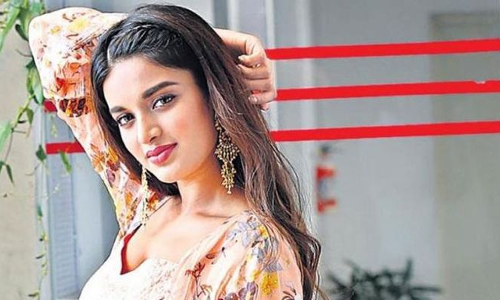 ఇస్మార్ట్ శంకర్ సినిమాలో తన పాత్ర ఇదే అంటున్న నిధి అగర్వాల్