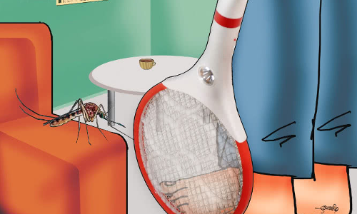 దోమలతో ఆట కాదు వేటనే!