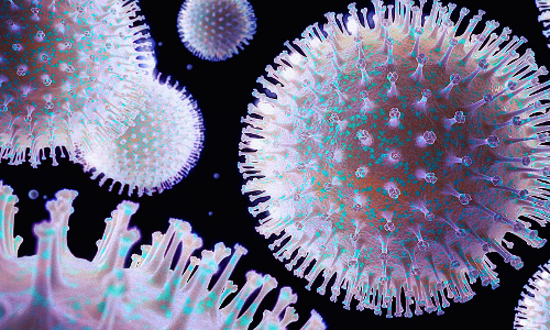 బ్యాక్టీరియా, వైరస్ల మధ్య ముఖ్యమైన తేడా ఏమిటో మీకు తెలుసా? బ్యాక్టీరియా, వైరస్ల మధ్య ముఖ్యమైన తేడా ఏమిటో మీకు తెలుసా?