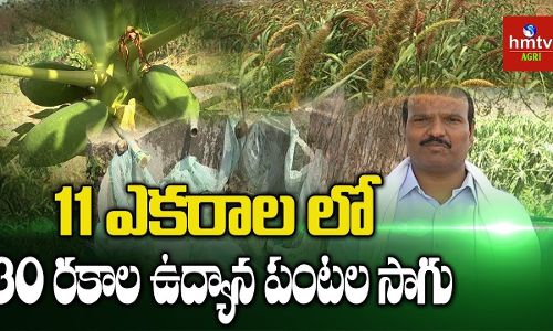 అతి తక్కువ నీటి వినియోగంతో పంటల సాగు