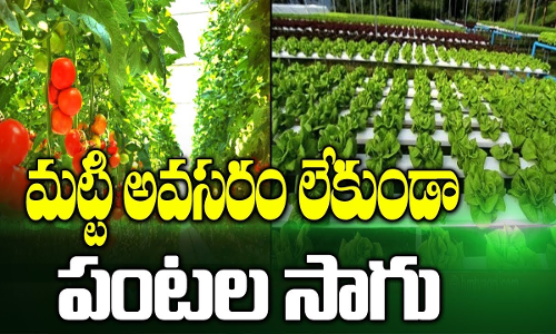 మట్టి అవసరం లేకుండా పంటల సాగు మట్టి అవసరం లేకుండా పంటల సాగు