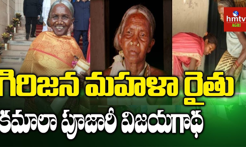 ఆమె ఒక విత్తన గని ఆమె ఒక విత్తన గని