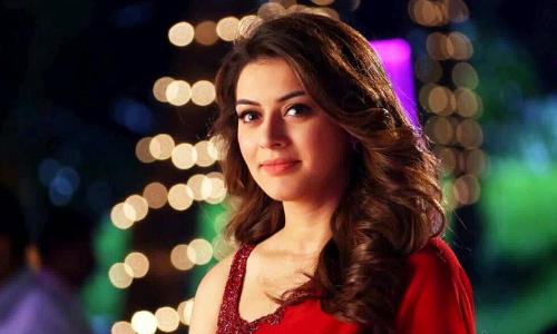 విలన్ గా మారిన అల్లు అర్జున్ హీరోయిన్