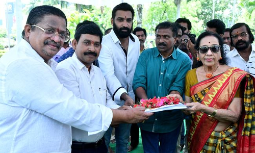 30 ఏళ్ల తర్వాత మళ్ళీ నటిస్తున్న అలనాటి నటి జమున