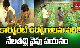 అందరికీ ఆదర్శంగా నిలుస్తున్న యువ రైతులు అందరికీ ఆదర్శంగా నిలుస్తున్న యువ రైతులు