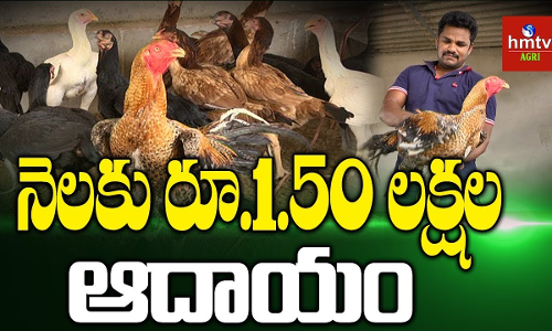 నెలకు రూ.1.50 లక్షల నికర ఆదాయం నెలకు రూ.1.50 లక్షల నికర ఆదాయం