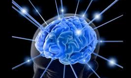 మీ జ్ఞాపకశక్తిలో గజనిలా కాకుండా, రోబోలో రజనిలా అవ్వడమెలా మీ జ్ఞాపకశక్తిలో గజనిలా కాకుండా, రోబోలో రజనిలా అవ్వడమెలా