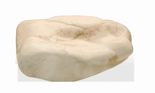 అత్త నుంచి అల్లుడికి.. ప్రపంచంలోనే అతి పెద్దది ఇదే..!