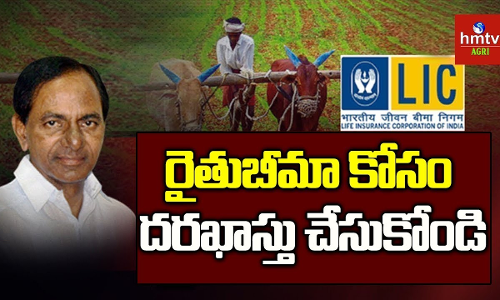 కొత్త పట్టాపాస్ పుస్తకాలు పొందిన రైతులు.. రైతుబీమా కోసం దరఖాస్తు చేసుకోండి కొత్త పట్టాపాస్ పుస్తకాలు పొందిన రైతులు.. రైతుబీమా కోసం దరఖాస్తు చేసుకోండి