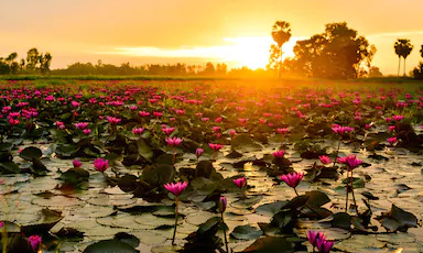 శుభోదయం