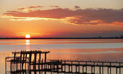 శుభతిథి  -  చరిత్రలో ఈ రోజు