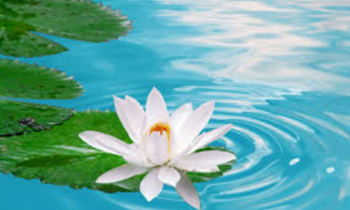 శుభతిథి - చరిత్రలో ఈరోజు