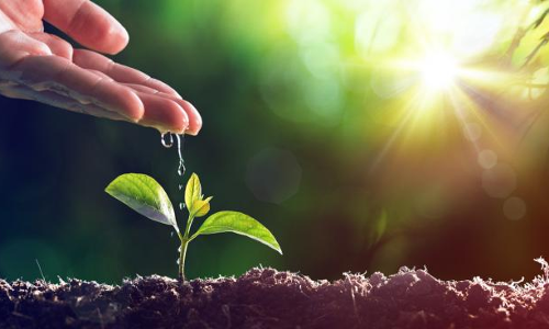 నేడు...ప్రపంచ పర్యావరణ దినోత్సవం