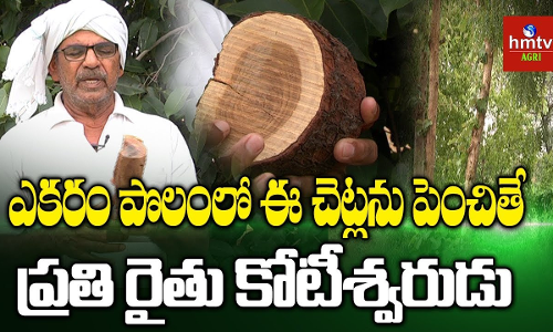 శ్రీగంధంతో సిరులు శ్రీగంధంతో సిరులు