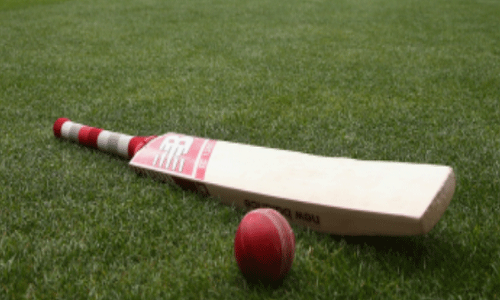 ఆ చెట్టే క్రికెట్ బ్యాట్‌లకు అమ్మ.. వాటిని చూస్తే..