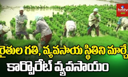 ఒప్పంద సేద్యంతో రైతుకు ఆర్ధిక భరోసా ఒప్పంద సేద్యంతో రైతుకు ఆర్ధిక భరోసా