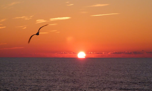 శుభతిథి - చరిత్రలో ఈరోజు!