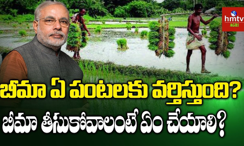 అన్నదాతకు కొండంత భరోసాగా ప్రధానమంత్రి ఫసల్ బీమా పథకం అన్నదాతకు కొండంత భరోసాగా ప్రధానమంత్రి ఫసల్ బీమా పథకం