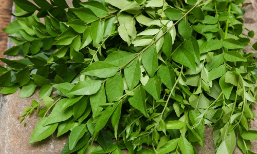 కరివేపాకు మేలు అంతా ఇంత కాదు..