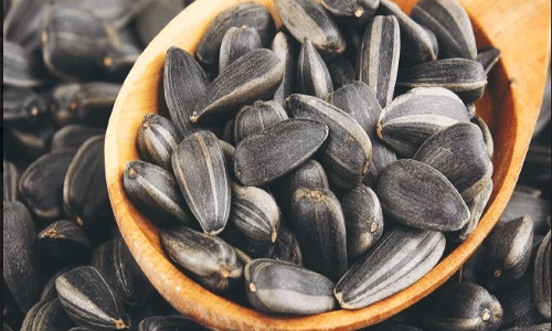 పొద్దు తిరుగుడుతో ఇన్ని ఉపయోగాలా..!