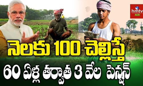కిసాన్ పెన్షన్ కోసం రైతు చెల్లించాల్సింది నెలకు వంద రూపాయలే! కిసాన్ పెన్షన్ కోసం రైతు చెల్లించాల్సింది నెలకు వంద రూపాయలే!