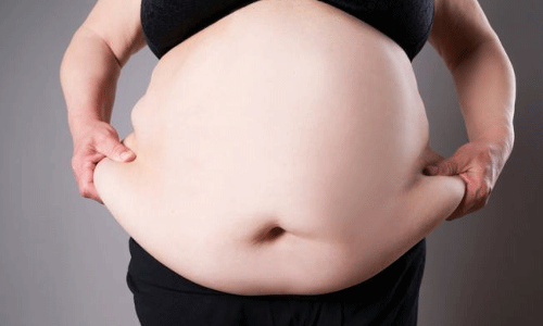 కొవ్వుతో బాధపడుతున్నారా..!