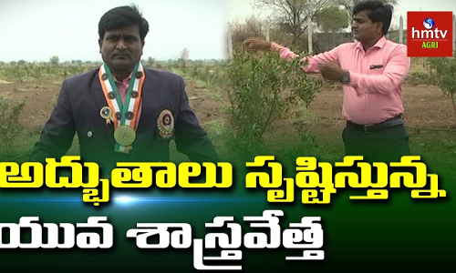 సేంద్రియ ఎరువుల తయారీలో ఆద్భుతాలు సృష్టిస్తున్న యువ శాస్త్రవేత్త సేంద్రియ ఎరువుల తయారీలో ఆద్భుతాలు సృష్టిస్తున్న యువ శాస్త్రవేత్త