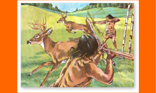 జింకలను వేటాడి చంపిన వేటగాళ్లు జింకలను వేటాడి చంపిన వేటగాళ్లు