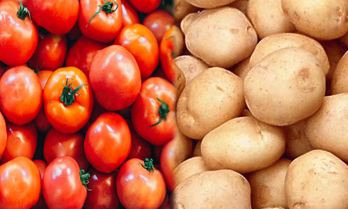 బంగాళా దుంపలు, టమాటాలు పుట్టింది ఎక్కడో తెలుసా..! బంగాళా దుంపలు, టమాటాలు పుట్టింది ఎక్కడో తెలుసా..!