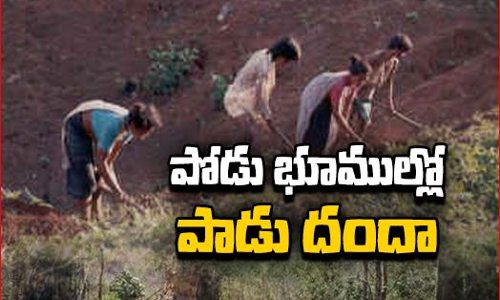 అసలు పోడు భూములు అంటే ఏంటి..పోడు భూముల వెనుక చీకటి కోణం ఉందా?