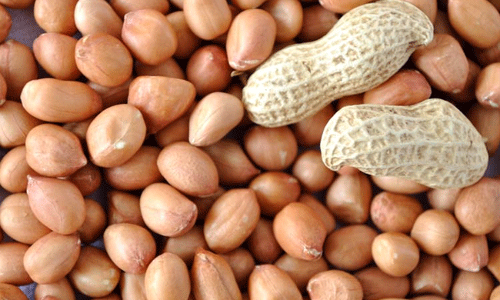 పల్లీలతో ఇన్నీ ప్రయోజనాలు ఉన్నాయా..!